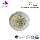 Factory food grade powder 50% 60% pumpkin seed protein