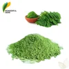 /product-detail/organic-oleifera-leaves-drumstick-leaf-extract-moringa-oleifera-powder-60690370016.html