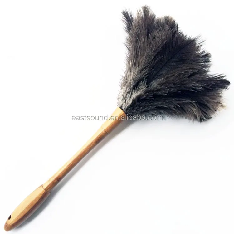 feather duster ostrich .jpg