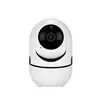 1MP 2MP Smarthome Wifi Domo Fullhd Recorder Indoor Hidden Network IP Camera NetworkCamera Built in Mic