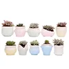 New Modern Style Container Planter Ceramic Base Serial Set Succulent Plant Pot Cactus Plant Pot