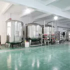 Filling Machine Liquid Automatic Mango Juice Bottle Filling Machine PET Liquid Capping Machine