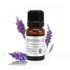100% Pure lavender essential oil, aromatherapy organic lavender essential oil bulk 10ml massage oil