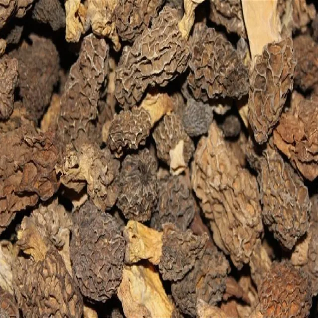 dried morel mushroom 1kg price