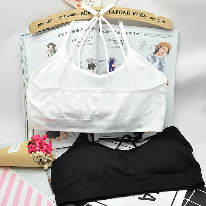 3935111445_1176988226