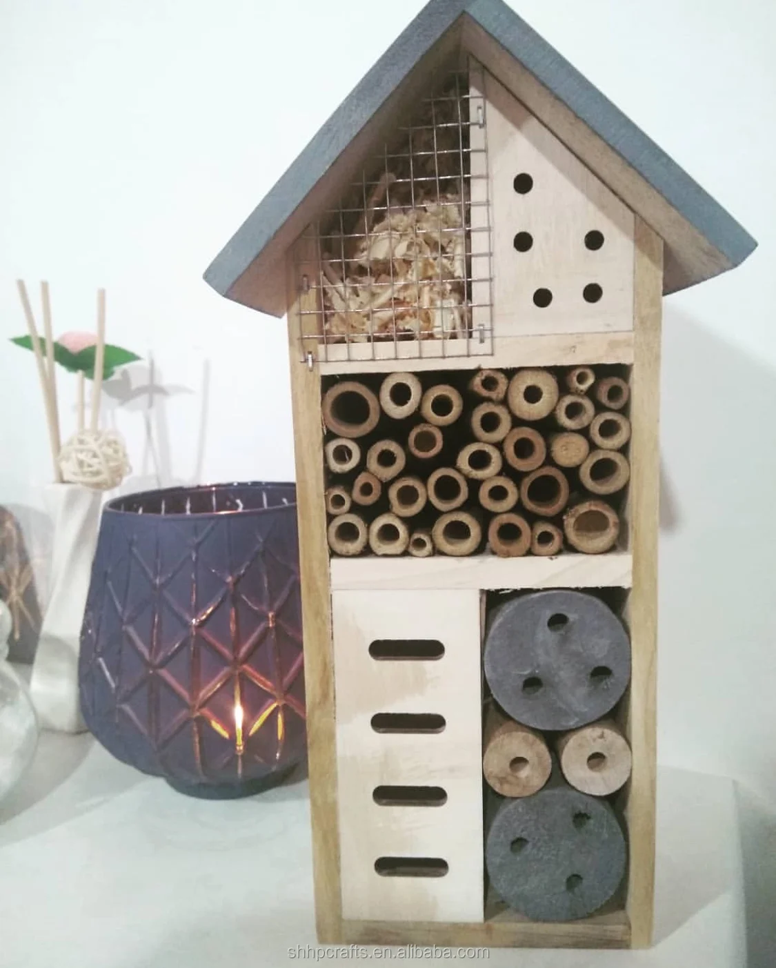 NEST-0035B.JPG