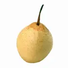 Chinese Fresh Yellow Delicious Juicy Ya Pear