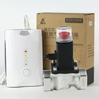 OEM ODM Home security loud alarm LPG CH4 CO propane gas leak detector with solenoid valve