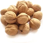 whole organic raw china walnuts in shell