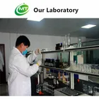 Moringa Seed Extract Seedseed Moringa Extract Powder Herbal Supplement High Potency Moringa Seed Extract Powder