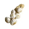 common culitvation organic peel garlic in brine market price