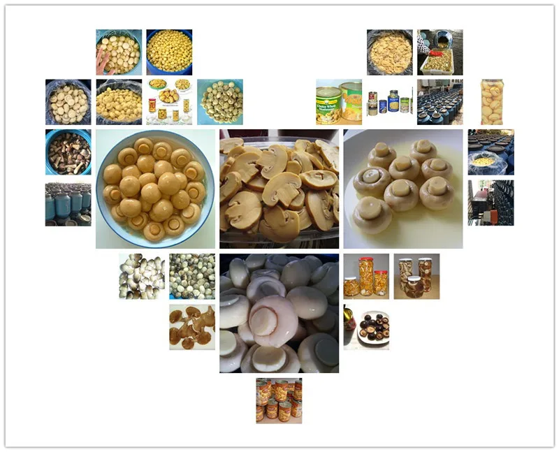 mushroom 1.jpg