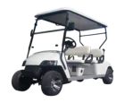 Factory Directly personal golf cart passenger park wholesale