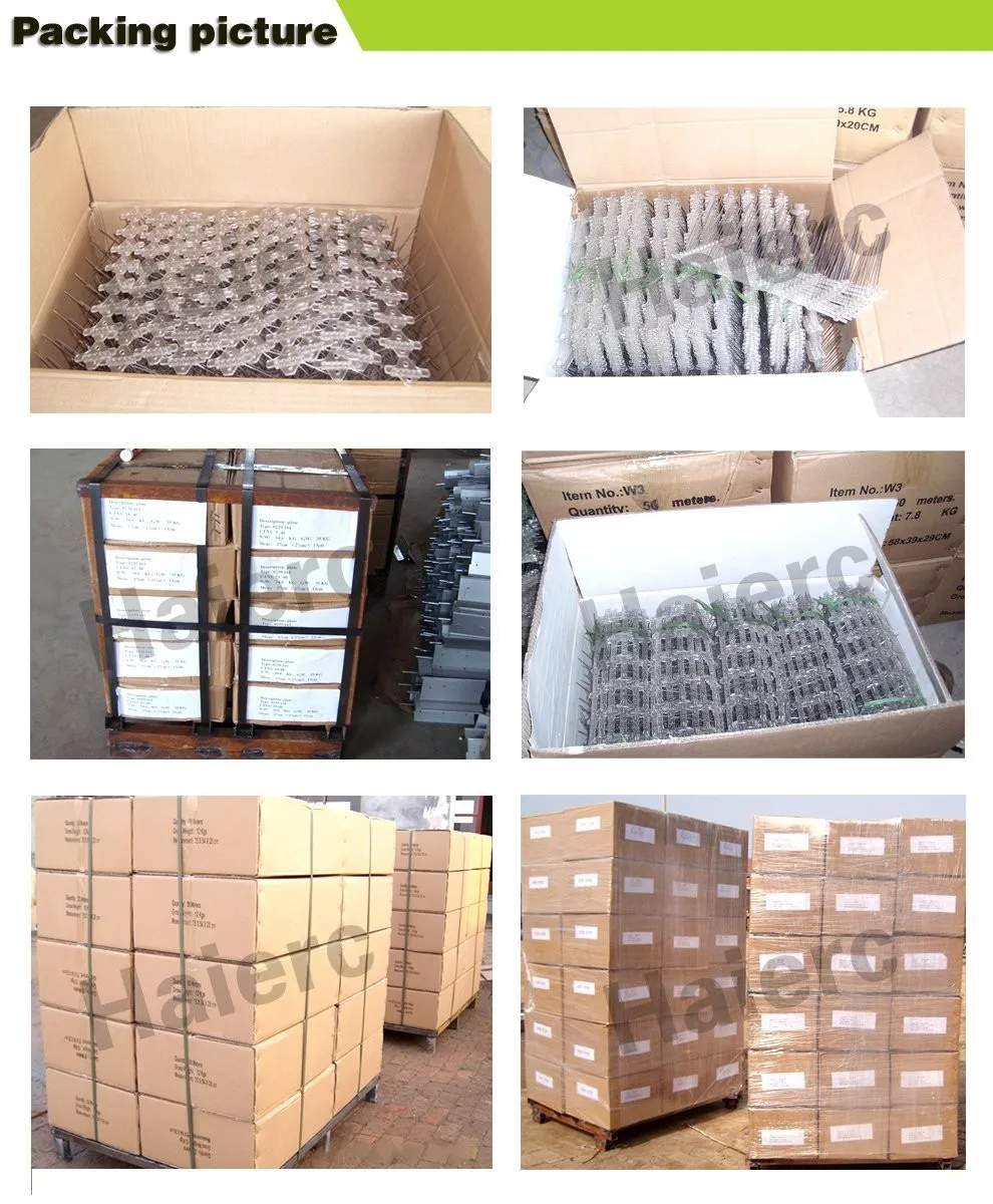 Haierc plastic polycarbonate bird spikes bird control