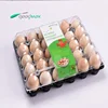 /product-detail/factory-wholesale-eco-friendly-pet-waterproof-plastic-30-holes-egg-tray-62121388990.html