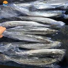 Frozen Spanish Mackerel IQF 100%NW Sea frozen frozen food