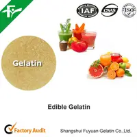High Quality Health Food Ingredient Gelatin