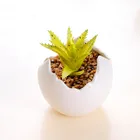 Green artificial potted mini succulent plants