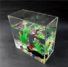 /product-detail/wall-mounted-clear-most-popular-acrylic-fish-tank-fish-shaped-acrylic-fish-boxes-for-wholesale-60728115129.html