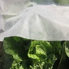 UV treated 17gsm 30gsm 50gsm breathable 100% PP spunbonded nonwoven TNT non woven fabric for garden and agriculture
