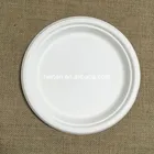 Sugarcane bagasse pulp molded disposable biodegradable food serving trays paper plates