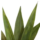 Fake Plant Plant Plant 0.5m Fake Aloe Plant Indoor Potted