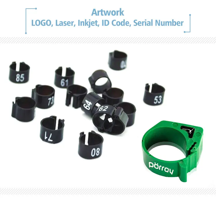 BENZiNG Pigeon Ring