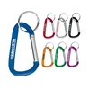 /product-detail/custom-multifunctional-metal-aluminum-d-shape-carabiner-hooks-colorful-carabiner-keychain-1630351766.html