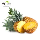 100% natural pharmaceutical grade bromelain organic powder natural pineapple extract