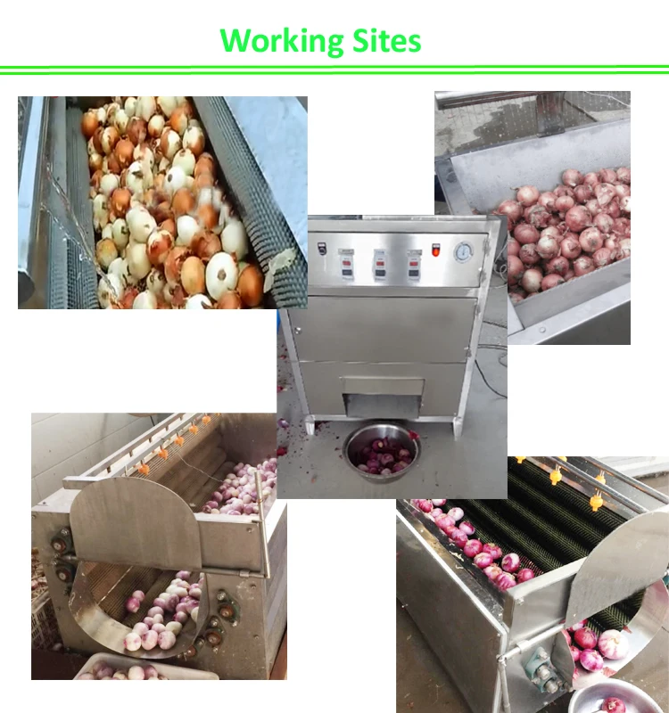 Onion Cleaning Machine