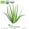 /product-detail/best-price-of-organic-aloe-vera-leaves-powder-60132476527.html