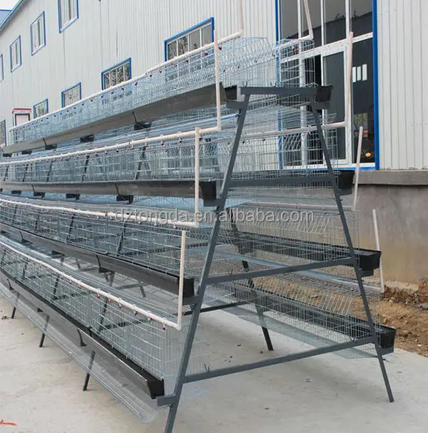 New design bird trap cage with great price