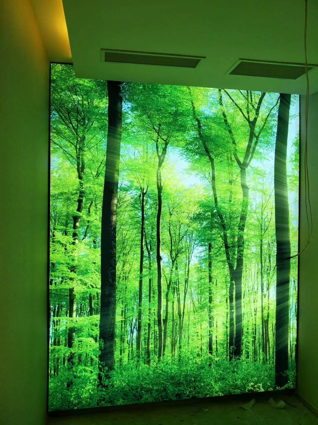 print stretch ceilings.jpg