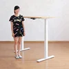 dual motor electric sit to stand desk workstation