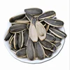 Trusted Factory Supplier Dried Sunflower Seeds 5009 Price Roasted Salted Sunflower Seeds