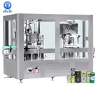 DGD1201Aluminum beer can filling and sealing machine