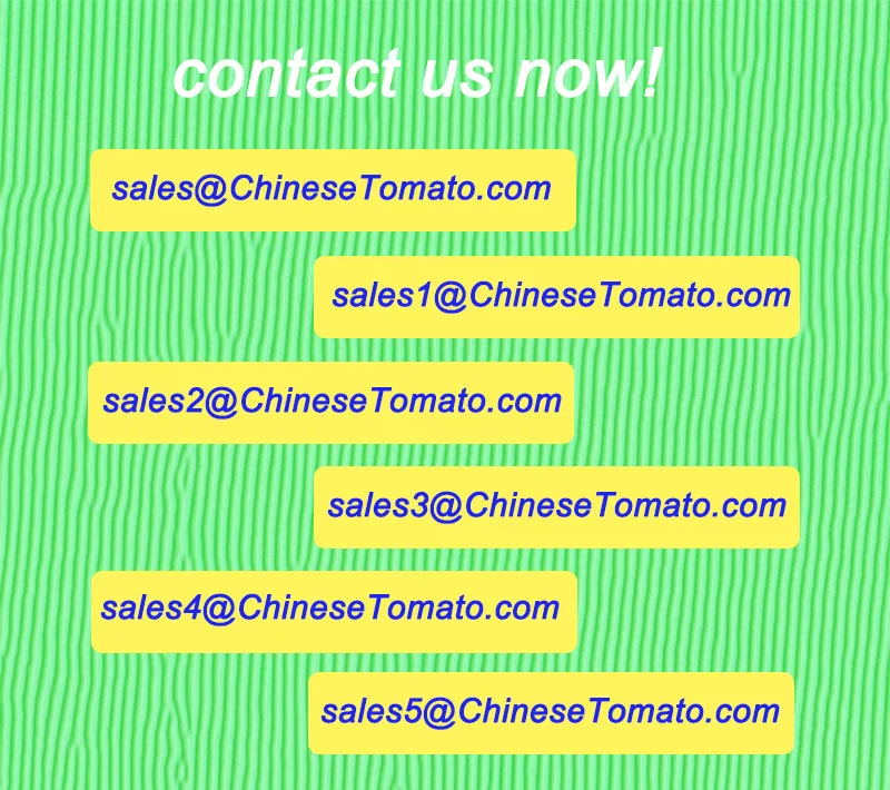 contact us