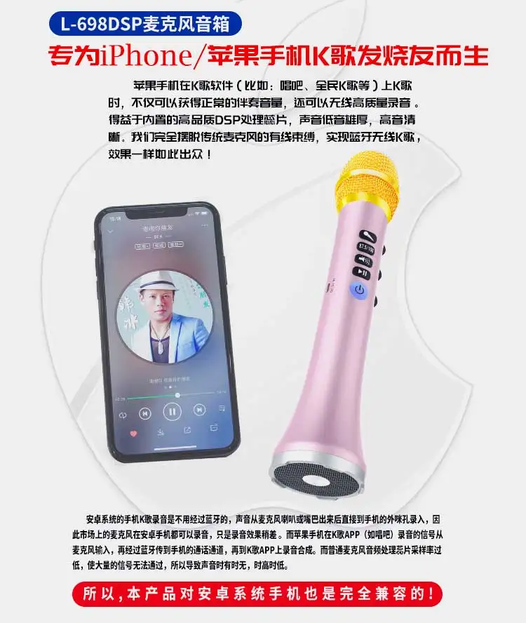 Professional DSP sound chipset ,Karaoke Microphone wireless BT speaker Family KTV L698DSP 20W Loud speaker - ANKUX.COM