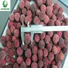 Frozen red bayberry myrica rubra arbutus fruit waxberry vegetable