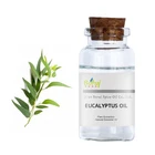 Wholesale price essential eucalyptus oil for buyers