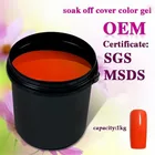 Nail Color 308 Colors Gel Nail RONIKI Popular Nail Products Pure Color Raw Material KG Soak Off LED UV Gel