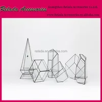 China Home Garden Indoor Plant Glass