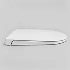 High Quality Custom Household Single Cavity Injection Molding Manufacture for toilet seat cover