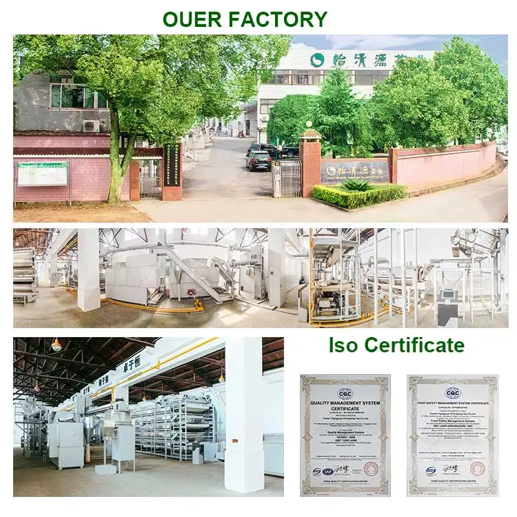 OUR-FACTORY