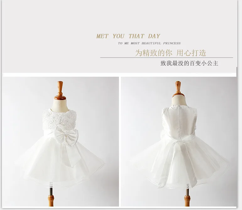 4325246996_1365310624