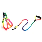 Rainbow Color Polyester Pet Dog Collar Dog Leash & Harness Vest Lead Products Pet Supply