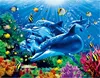 /product-detail/pet-3d-lenticular-poster-3d-dolphin-poster-lenticular-3d-picture-62170721392.html