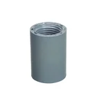 ERA NSF PVC SCH40 ASTM D2466 Pipe Fitting Female Thread Adaptor Coupling