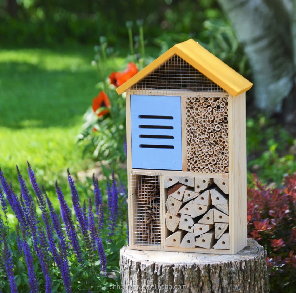 NEST-0032A.JPG