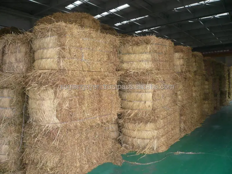 Cheap Rice Straw (VIETNAM) for animal feed - High Quality